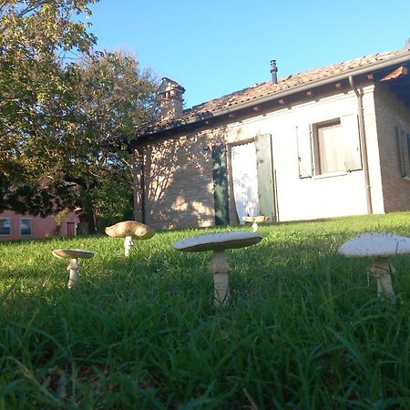 Agriturismo Fondo Novelle La Casina 费拉拉 外观 照片