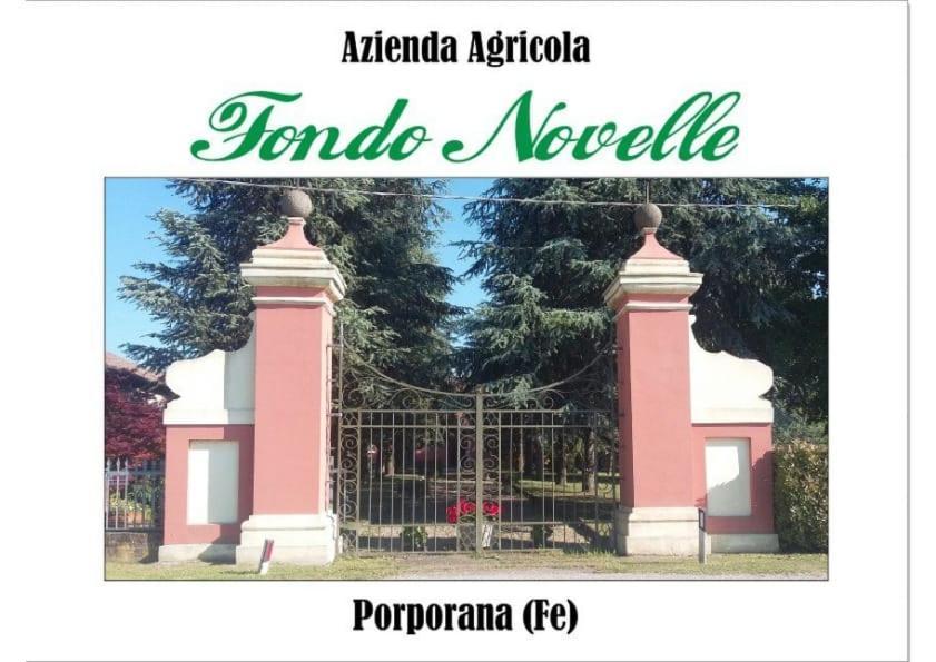 Agriturismo Fondo Novelle La Casina 费拉拉 外观 照片