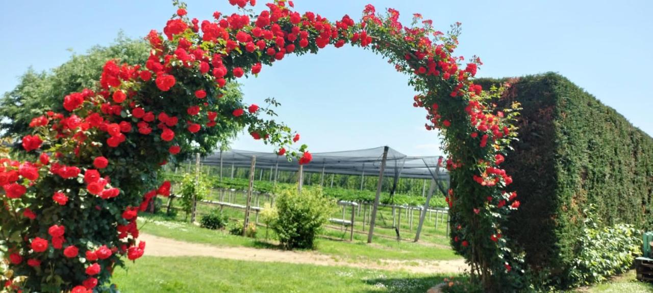 Agriturismo Fondo Novelle La Casina 费拉拉 外观 照片