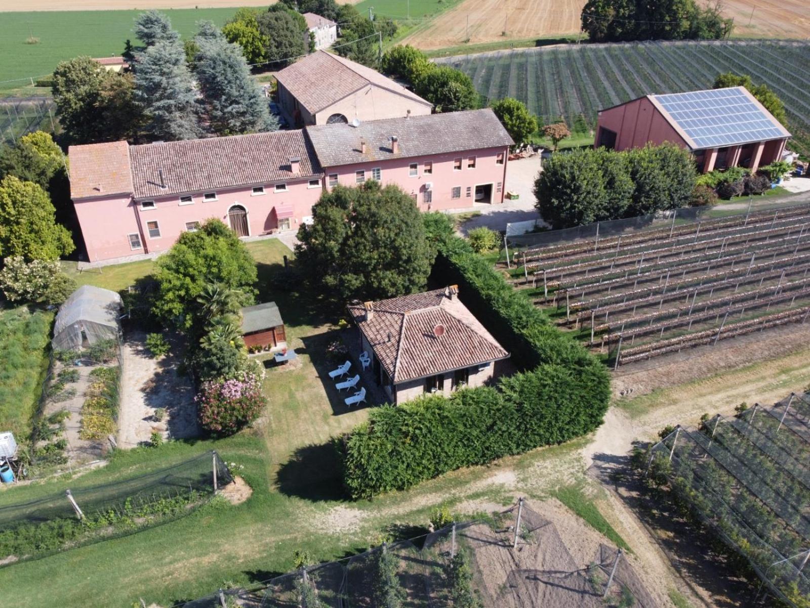 Agriturismo Fondo Novelle La Casina 费拉拉 外观 照片
