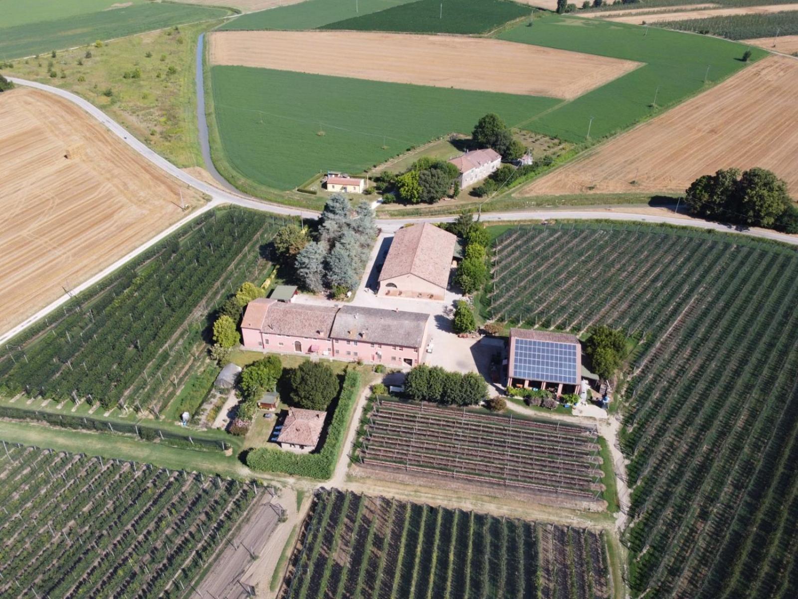Agriturismo Fondo Novelle La Casina 费拉拉 外观 照片